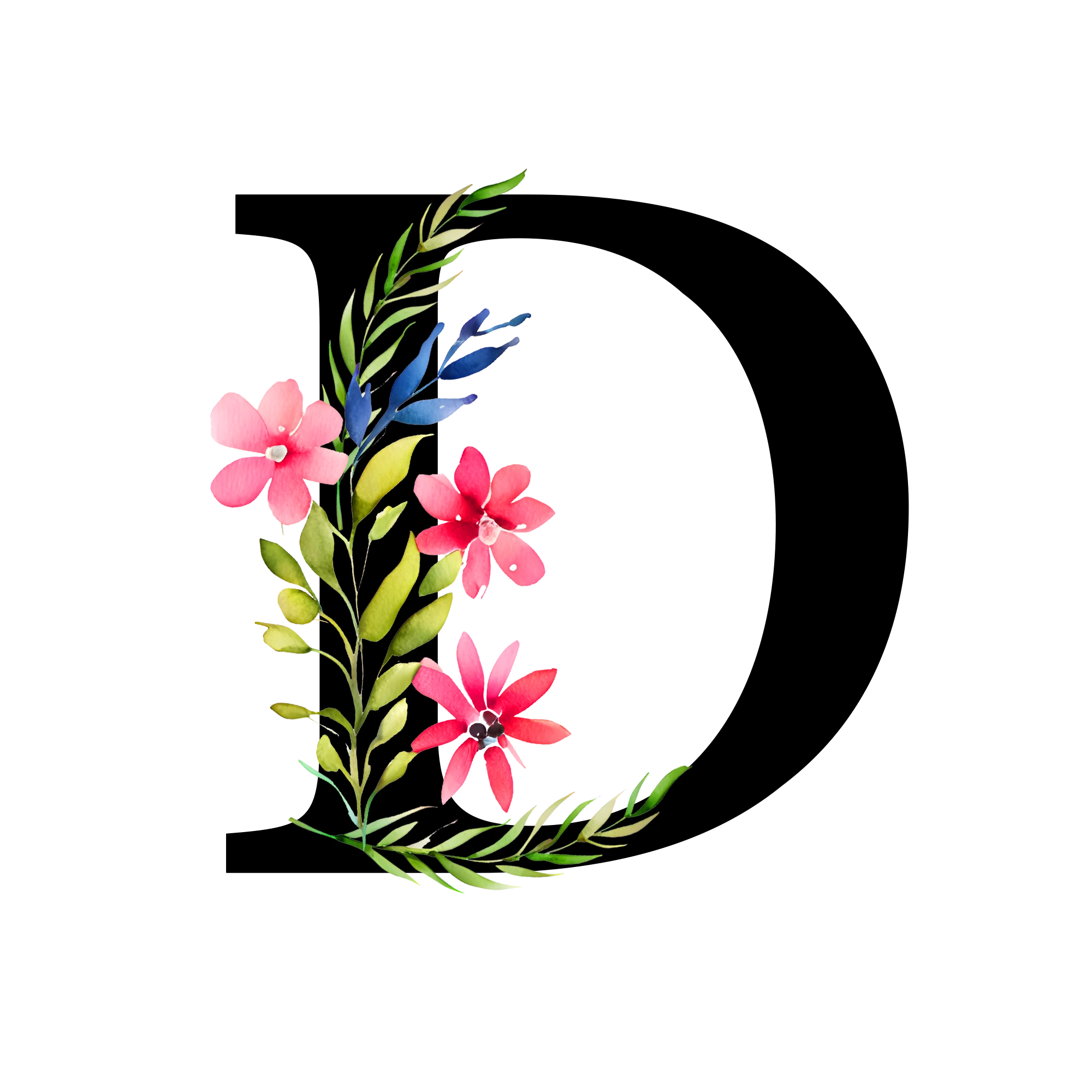 Free-Transparent-Floral-Alphabet-Illustration-letter-D.webp